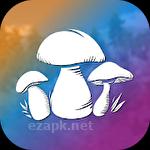 Real mushroom hunting simulator 3D