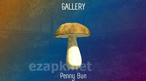 Real mushroom hunting simulator 3D