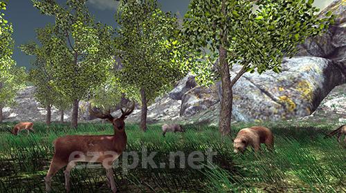 Real mushroom hunting simulator 3D