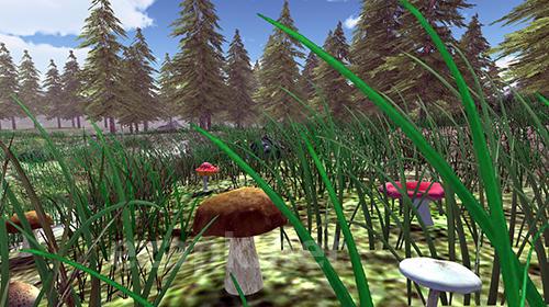Real mushroom hunting simulator 3D