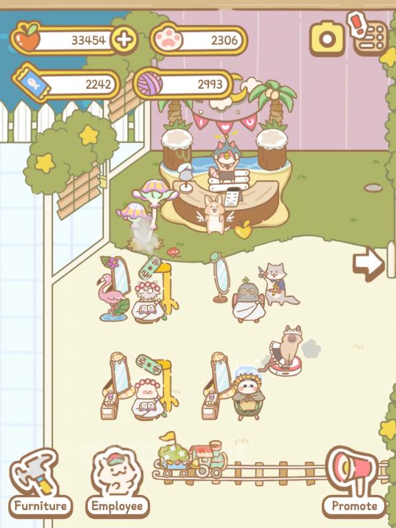 Cat Spa