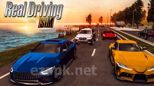 Real driving sim