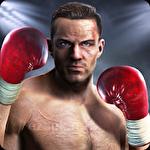 KO punch