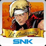Metal slug defense
