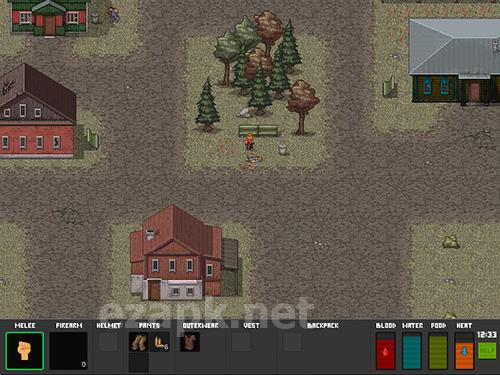 Mini dayZ