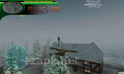 Fly Like a Bird 3