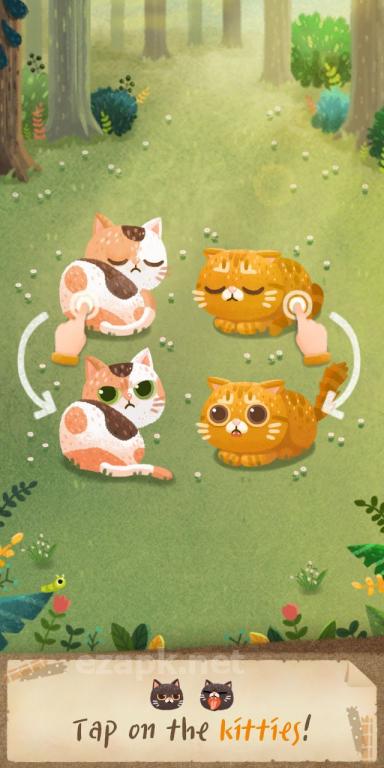 Secret Cat Forest