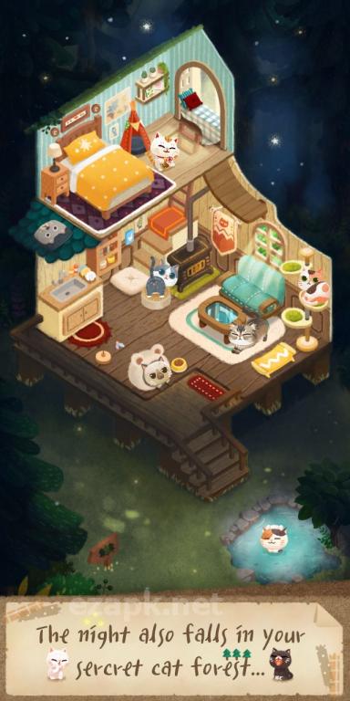 Secret Cat Forest