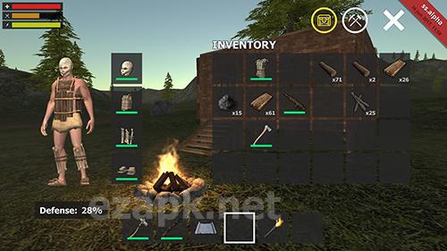 Survival simulator