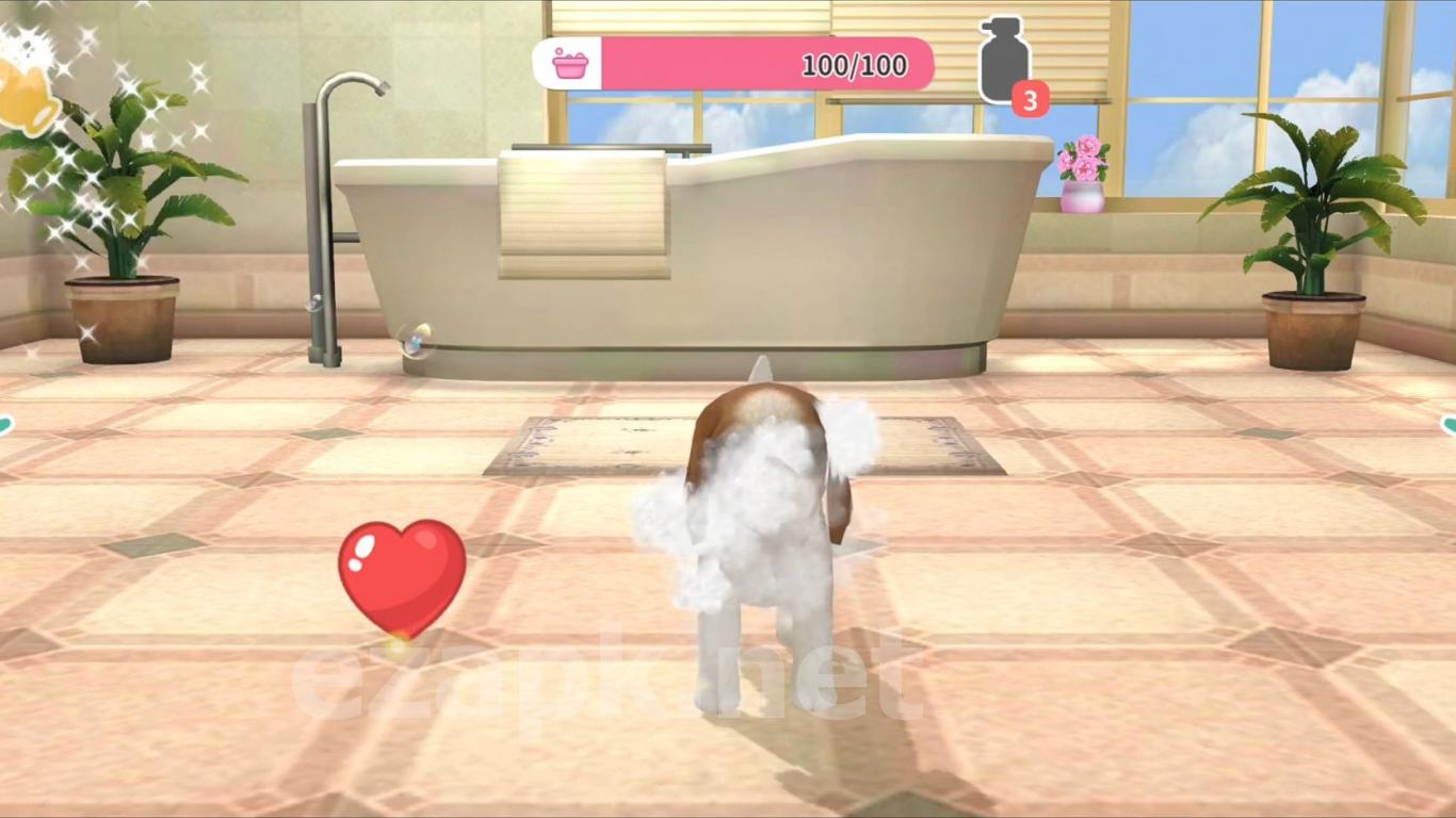 Adopt Puppies
