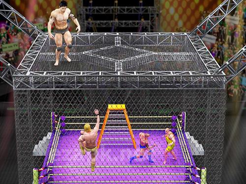 Cage wrestling revolution: Ladder match fighting