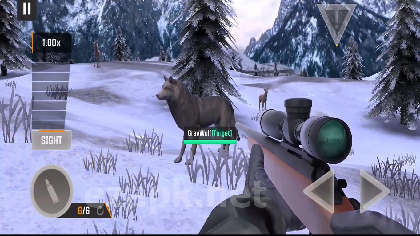 Hunting Fever