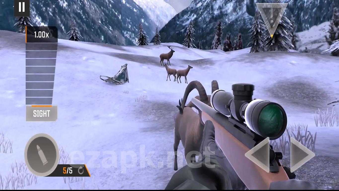 Hunting Fever