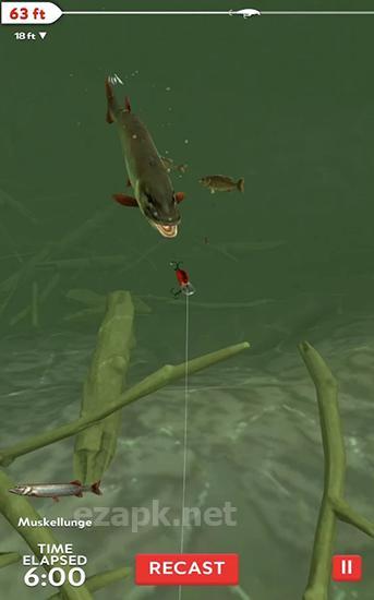 Rapala fishing: Daily catch