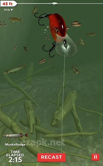 Rapala fishing: Daily catch