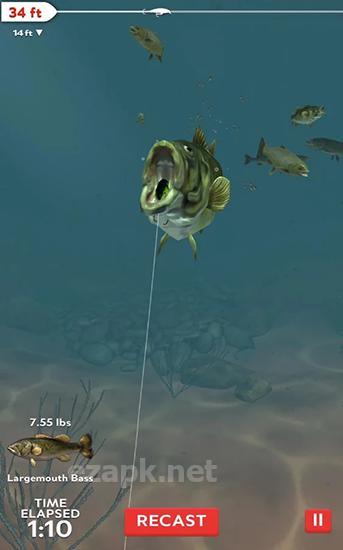 Rapala fishing: Daily catch