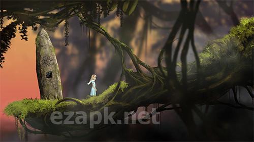 Lucid dream adventure