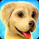Lovely pets: Dog town