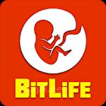 Bitlife: Life simulator