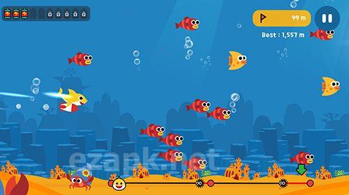 Baby shark fly