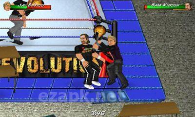 Wrestling Revolution