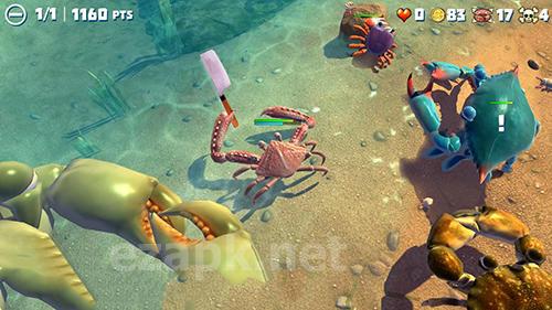 King of crabs