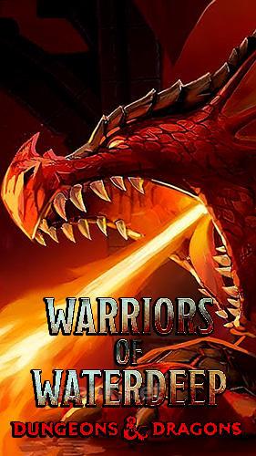 Warriors of Waterdeep: Dungeons and dragons