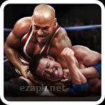 Real wrestling 3D