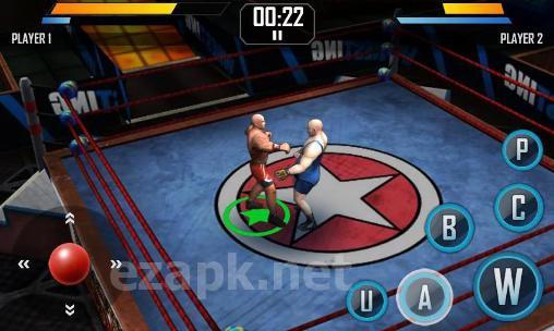 Real wrestling 3D