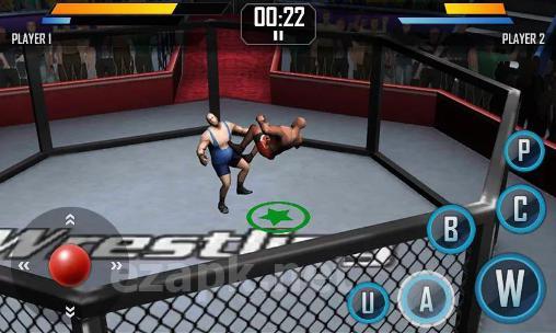 Real wrestling 3D