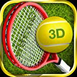 Tennis champion 3D