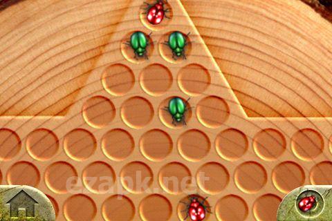Chinese checkers
