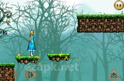 Alice in Wonderland: An adventure beyond the Mirror