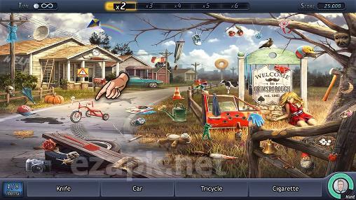 Criminal case