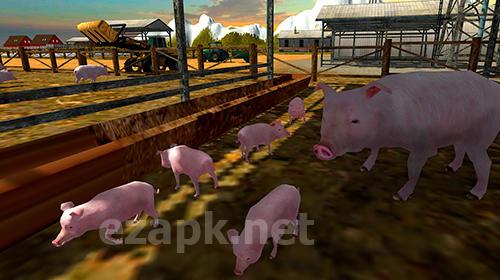 Euro farm simulator: Pigs