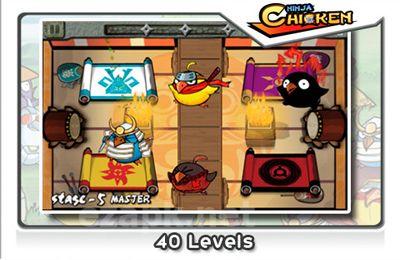 Ninja Chicken