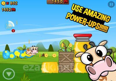 Run Cow Run