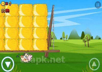 Run Cow Run