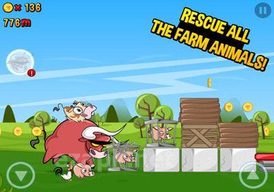 Run Cow Run
