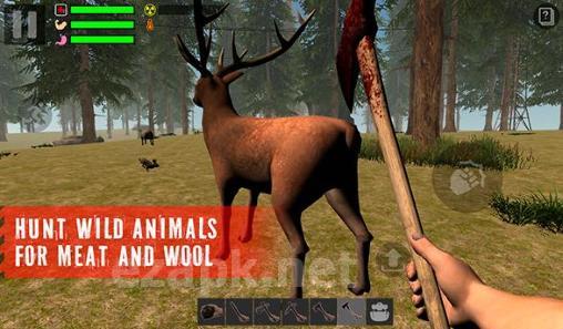 The survivor: Rusty forest