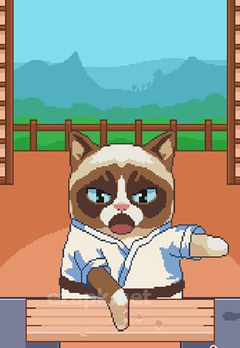Grumpy cat's worst game ever