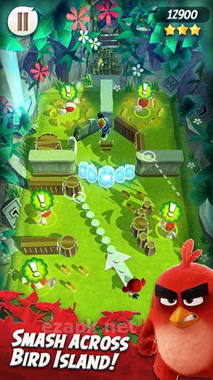 Angry birds action!