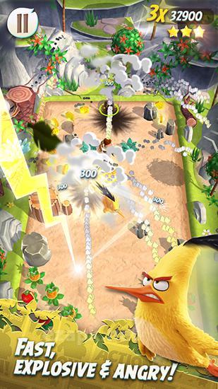 Angry birds action!