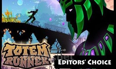 Totem Runner