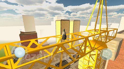 Pigeon simulator