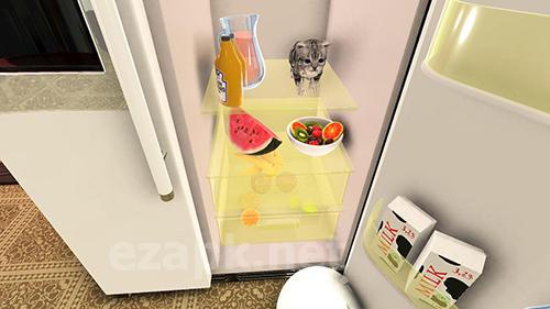 Cat simulator: Kitty craft!