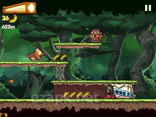 Banana Kong