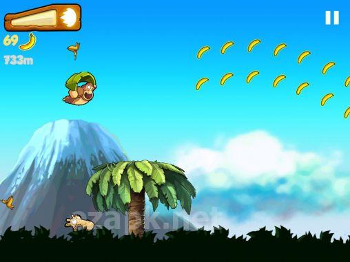 Banana Kong