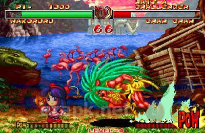 Samurai Shodown 2
