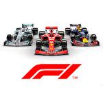 F1 manager